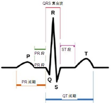 ĵͼе P-QRS-T