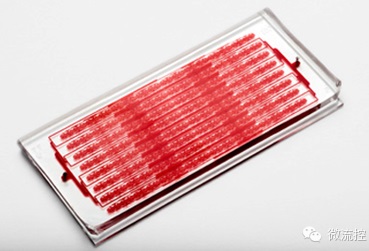 讓患者血樣流過Cluster-Chip上的4000多個並行捕捉通道便可捕捉到患者血樣中的循環腫瘤細胞群