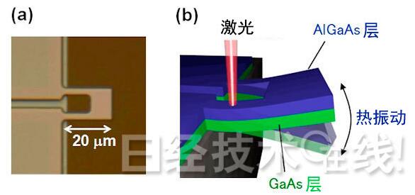 製作的機械振盪器的顯微鏡照片