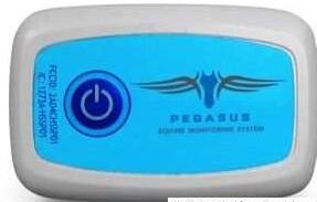 ɰװβ͸Pegasusװ