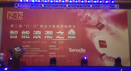 ˳ۣ֮ڶ12.12ƶᡱ