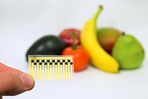 ڼ׸ʳ洢¶