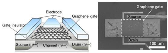 新開發的石墨烯絕緣柵傳感器示意圖（左），以及傳感器產​​品的掃描電鏡顯微照片（右）