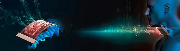 ʯīϩ˹ʾͼܹ̽˺񶯲תΪɿ
