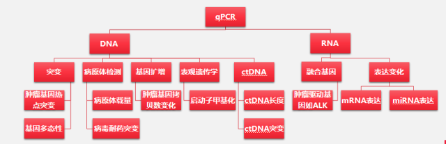 qPCRӦ