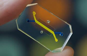 一款具有充满气体（黄色）和中等填充血样（蓝色）通道的肺泡芯片，内部均排列了人体细胞，以模仿器官功能