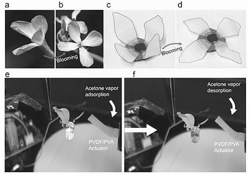 PVDF/PVA˫Ĥķα