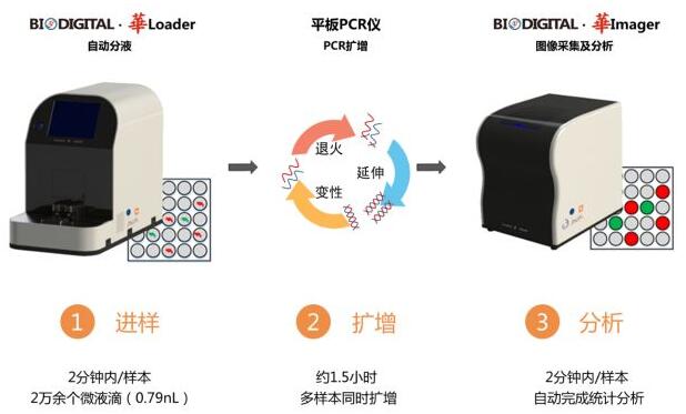 СһоƬPCR BioDigitalAǳ