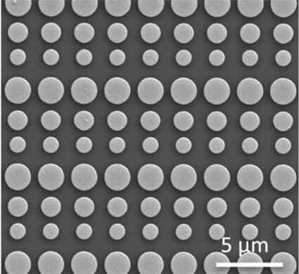 ͼΪо͸ɨ΢ͼʾ״ĳ澧metasurface unit cells