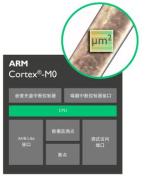ARM Cortex-M0