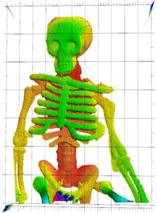 LiDARɵ100αɫ3DȾͼ