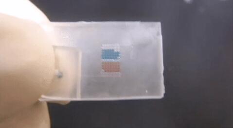 PDMS΢ͨϹ۲ԭʼߴɫʾԡָͱ