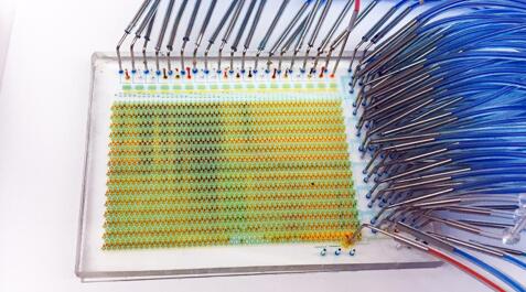 芝加哥大学分子工程系的研究人员开发出一款新型“芯片实验室”，帮助我们了解单个干细胞对不同分子和环境的反应