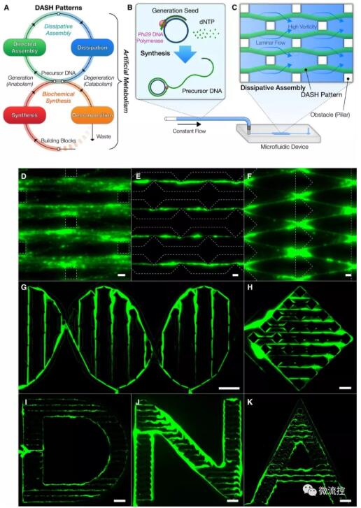 ѧҽDNA""ܳƶ