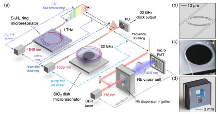 DARPA΢ͻԭӳɹԣؼܲ1000