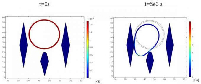  Biomicrofluidicsģʾ෢Թϸ¹װõ΢֮䡣ɫcCPCǴϵ