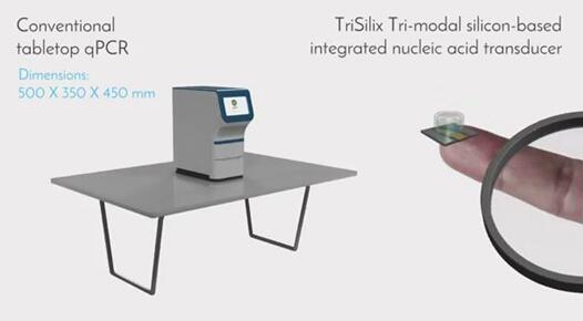 TriSilixԱȴͳqPCR