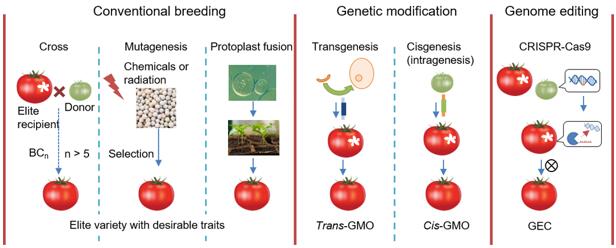 农作物基因工程技术对比