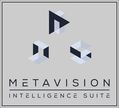 Metavision Intelligence׼