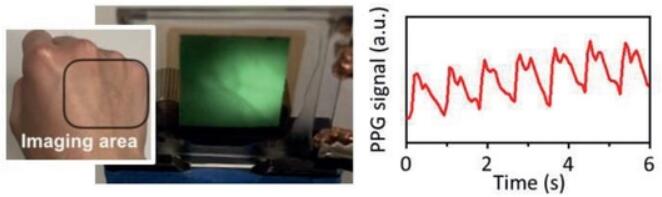 该图像传感器监测心率的同时绘制人体血管图像