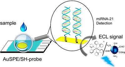 利用基于碳纳米点的生物传感器确定miRNA-21序列
