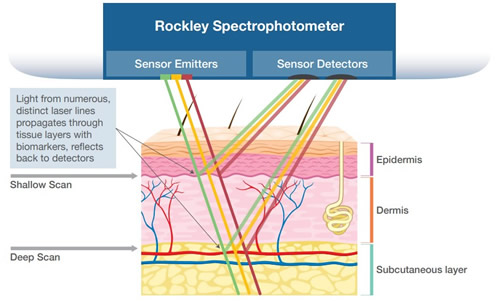 Rockley PhotonicsֹȼƵƤ⹦
