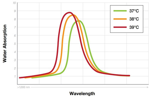 ¶ȱ仯ˮչףԴRockley Photonics