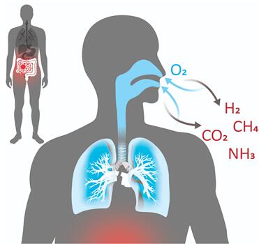 人体呼出的甲烷浓度只有0~50ppm之间，并且要排除其他呼出气体的干扰，例如水蒸气、O₂、CO、CO₂和VOC等。所以检测难度是很高的。