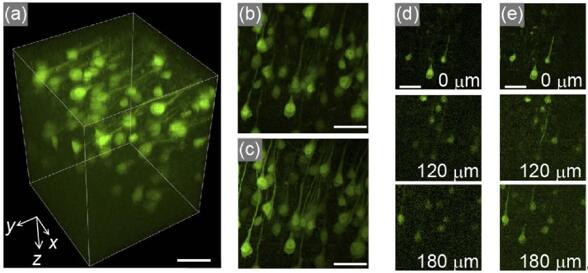 ɼΪ200 µm  200 µm  260 µmĹ̶H-lineС׶Ԫ3Dͼ