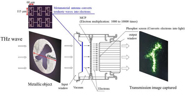 太赫兹图像增强器“THz-I.I.”工作原理