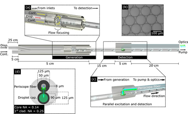 Lab-in-a-Fiber