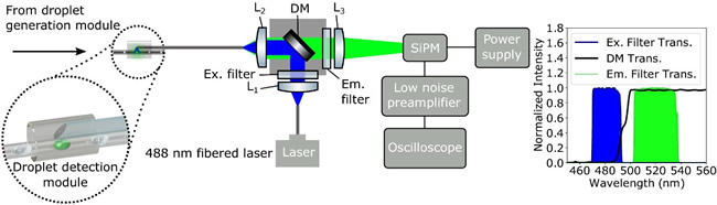 Lab-in-a-FiberĹѧԪӲ