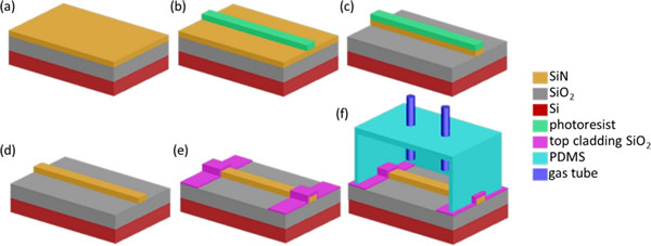 SiN波导的制造过程及其与PDMS室的组装