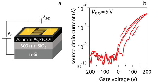 In(As, P)量子点场效应晶体管示意图