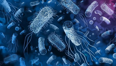 量子点生物传感器实现对水中大肠杆菌的现场快速检测