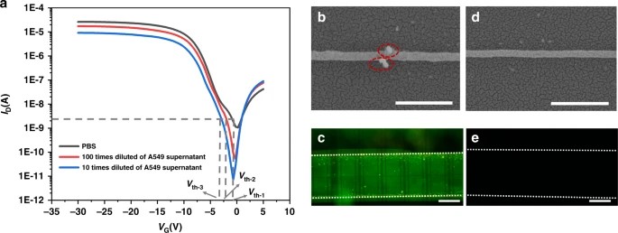 用PBS和不同稀釋度的A549細胞培養上清液測量的硅納米線Bio-FET的ID-VG曲線