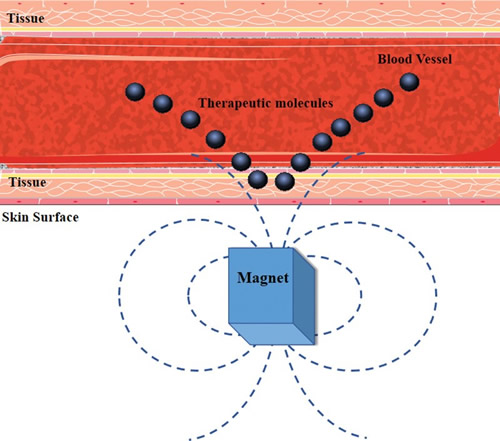 基于磁性纳米颗粒的药物递送系统示意图