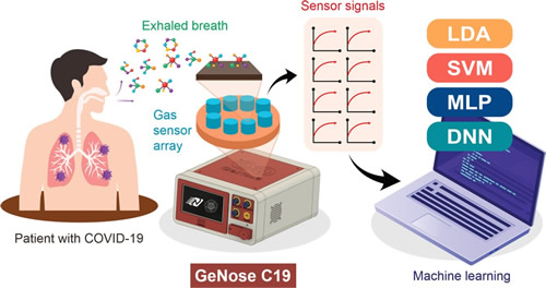 利用集成人工智能（AI）的便携式电子鼻GeNose C19快速、非侵入检测COVID-19