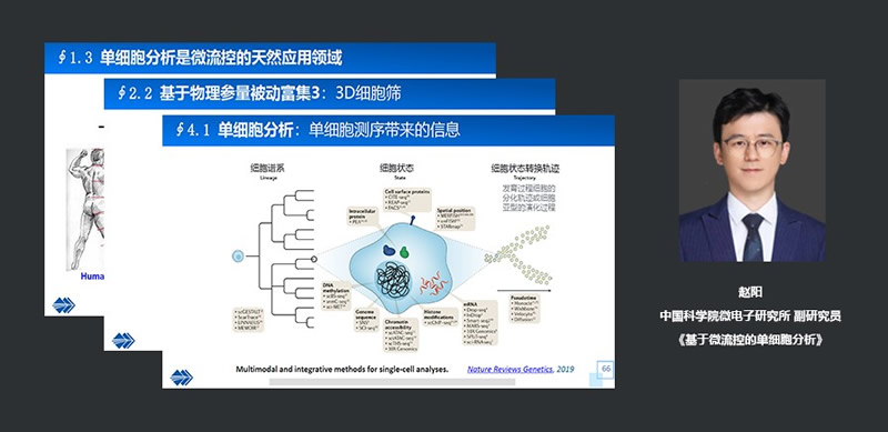 中国科学院微电子研究所副研究员赵阳：基于微流控的单细胞分析