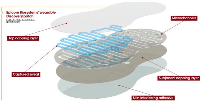 Epicore Biosystemsɴ΢ṹ