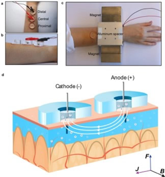 新型磁流体动力学传感方案，实现无针连续血糖监测