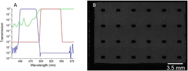 （A）异硫氰酸荧光素（FITC）滤光片组透射图，展示激发滤光片（蓝色）、二向色镜（红色）和发射滤片（绿色）的特性；（B）使用异硫氰酸荧光素滤光片组的Stilla数字聚合酶链式反应（PCR）芯片的荧光图像