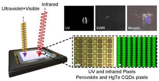 胶体量子点紫外-可见-短波红外成像芯片，助力目标识别及光谱分选应用