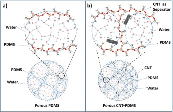 在PDMS网络和CNT-PDMS网络内部形成包含水分子的孔，其中作为水分子分离剂的CNT的存在可以产生更小的孔。