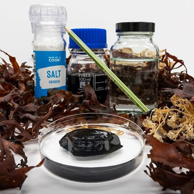 萨塞克斯大学研究制备的石墨烯海藻水凝胶，成分简单且可生物降解，研究人员称其“可食用”。