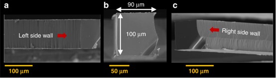利用FLICE工艺从100 μm厚晶圆中制造的石英微梁的SEM图像