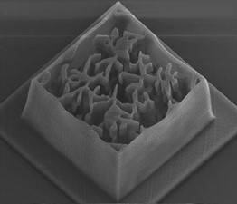 оѧSEMͼ񣬸߶5 µm