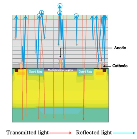 利用TCAD仿真得到无“峡谷”（canyon）BCD-SPAD的简化光线追踪结果