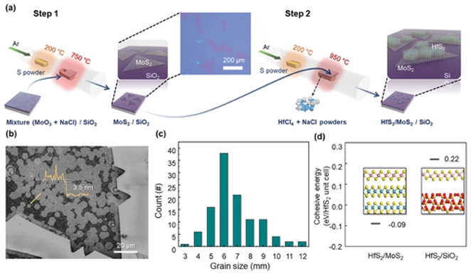 HfS₂/MoS₂»ֱʽƱɹ