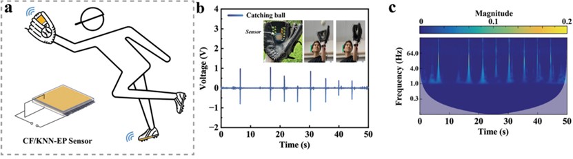  a）UDCF/KNN-EP传感器应用场景；b）当棒球被接住时，UDCF/KNN-EP传感器产生的电压信号；c）原始信号的幅度频谱图（棒球接球动作）。